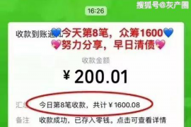 金口河融资清欠服务