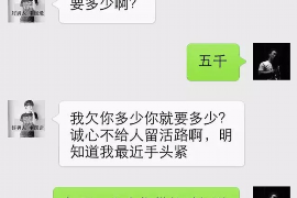 金口河融资清欠服务